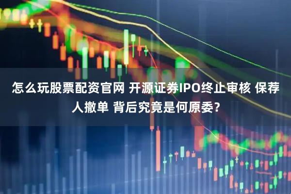 怎么玩股票配资官网 开源证券IPO终止审核 保荐人撤单 背后究竟是何原委？